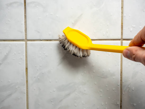 Best Water Damage Restoration  in Warsaw, VA