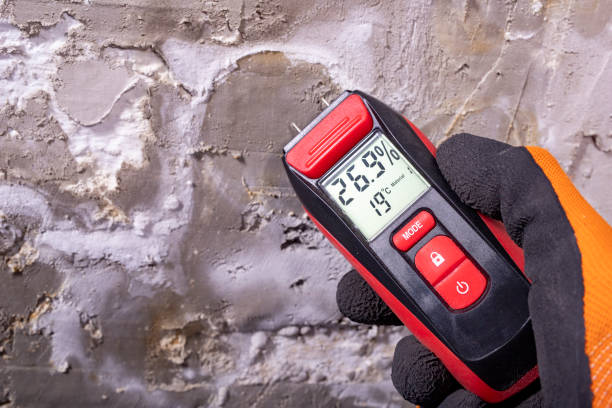 Best Mold Removal Near Me  in Warsaw, VA