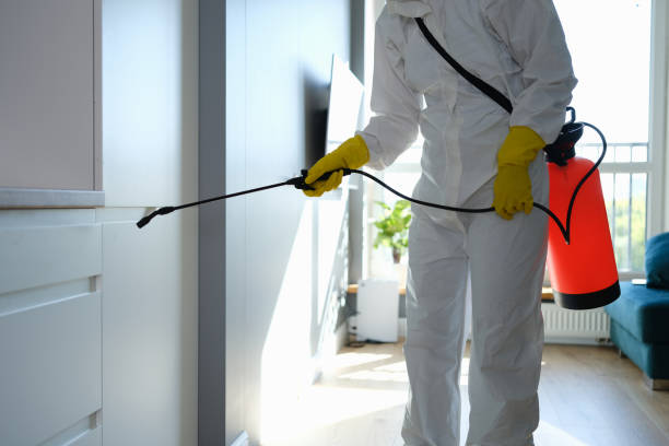 Best Commercial Mold Removal  in Warsaw, VA