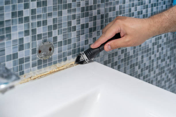 Best Mold Removal Company Near Me  in Warsaw, VA